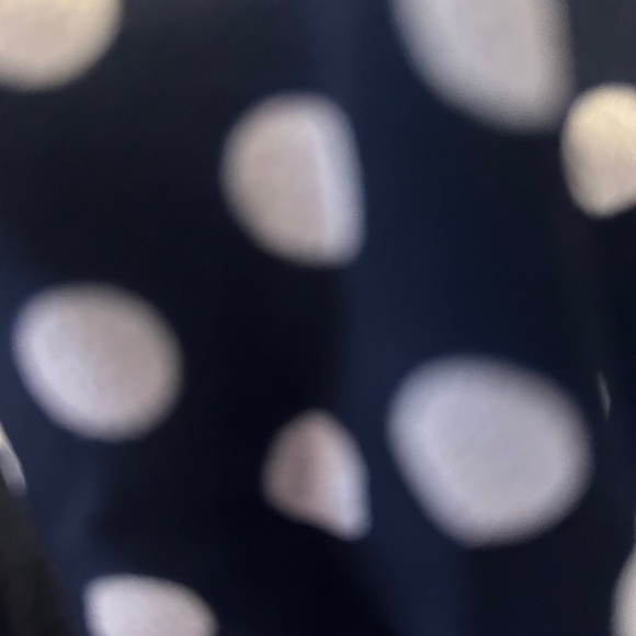 Elegant Navy and White Polka Dot Jumpsuit - Picture 3 of 4